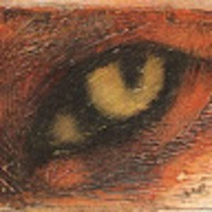 Meet your Posher, Lily